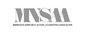 MNSAA Logo 