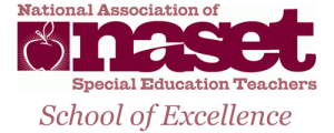 Naset Logo 