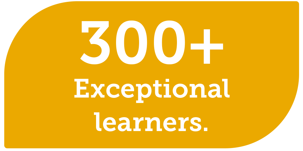 300+ Exceptional Learners 